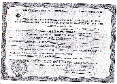 wp352b540c_0f.jpg